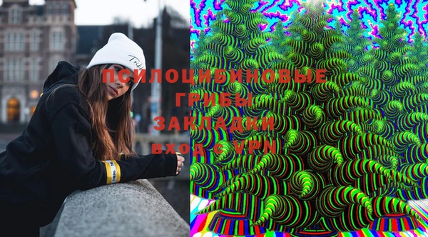 индика Мегион
