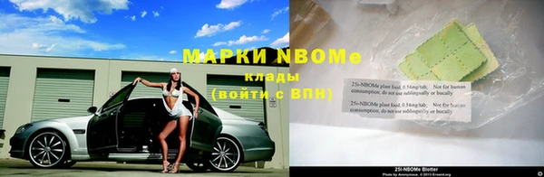 ПСИЛОЦИБИНОВЫЕ ГРИБЫ Магас