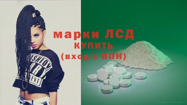 индика Мегион