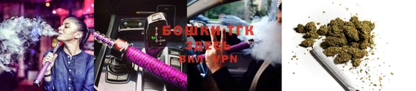 ПСИЛОЦИБИНОВЫЕ ГРИБЫ Магас