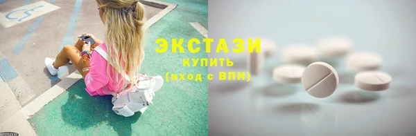 индика Мегион