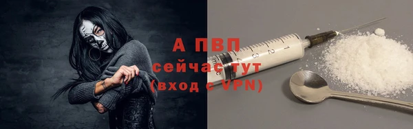 ПСИЛОЦИБИНОВЫЕ ГРИБЫ Магас
