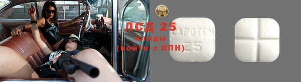 ПСИЛОЦИБИНОВЫЕ ГРИБЫ Медногорск
