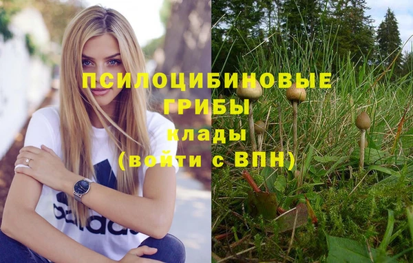 марки lsd Медвежьегорск