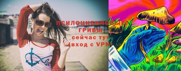 СК Магадан