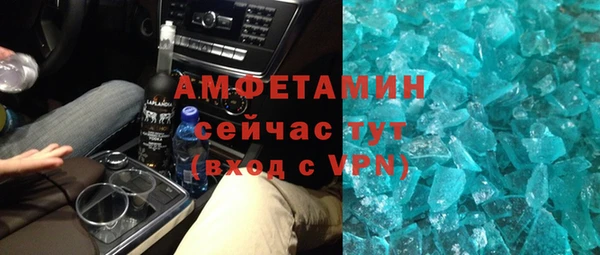 индика Мегион