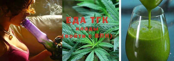 индика Мегион