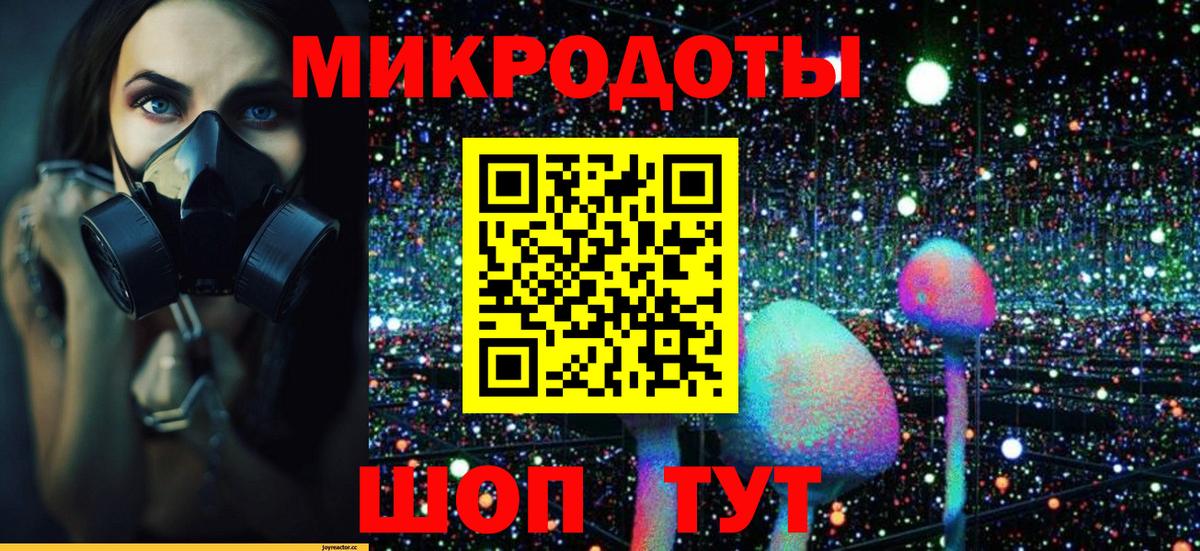 Галлюциногенные грибы прущие грибы Бирск