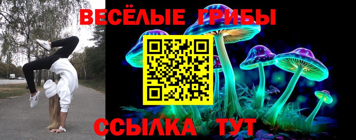 Псилоцибиновые грибы Cubensis  Вход с VPN  Бирск 